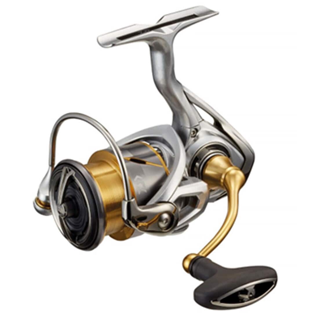 Daiwa 21 FREAMS LT 1000D.