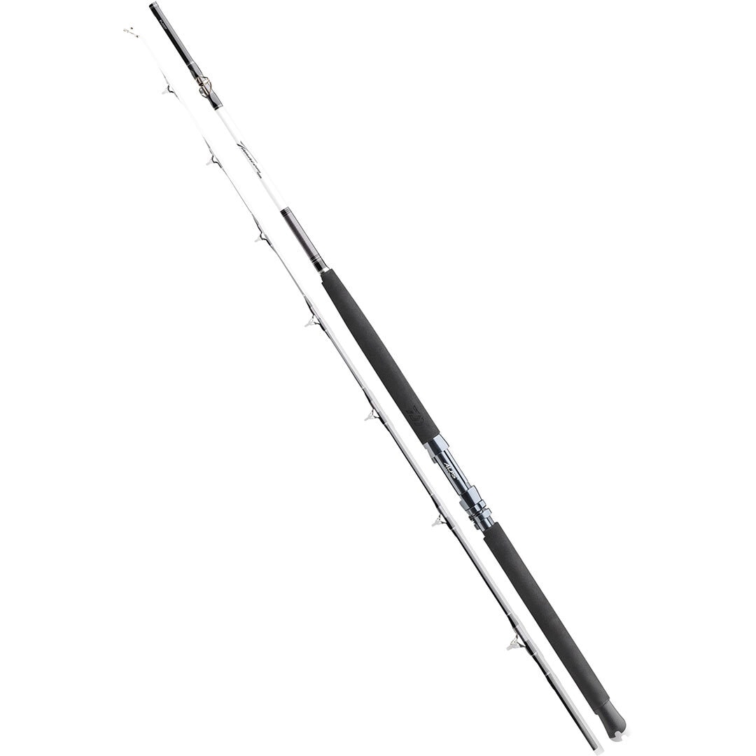 Daiwa Tanacom Boat 7` 400-1000g.