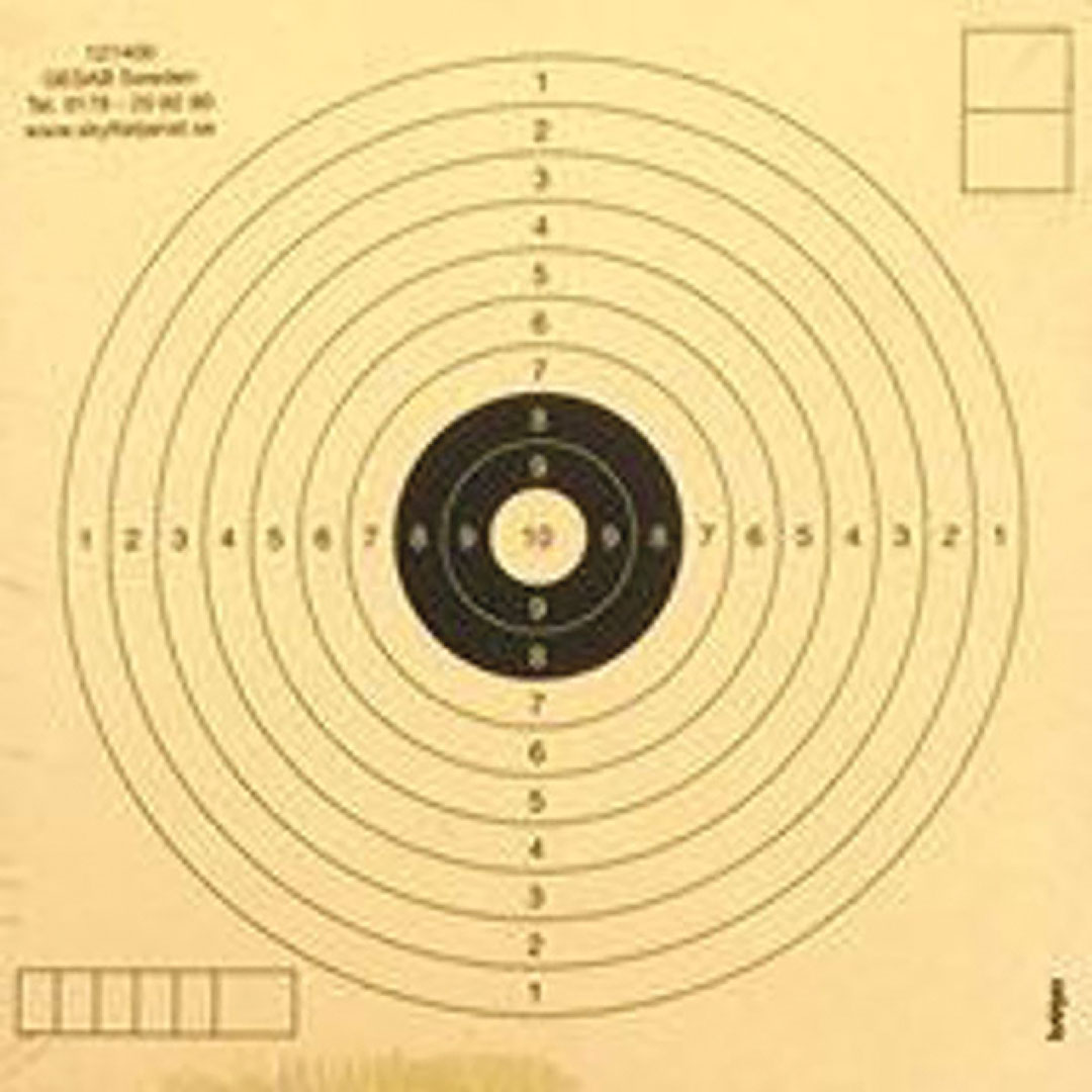 Gamo MÅLTAVLA LG 1-PRICK 10-RINGAD (14x14 50ST)