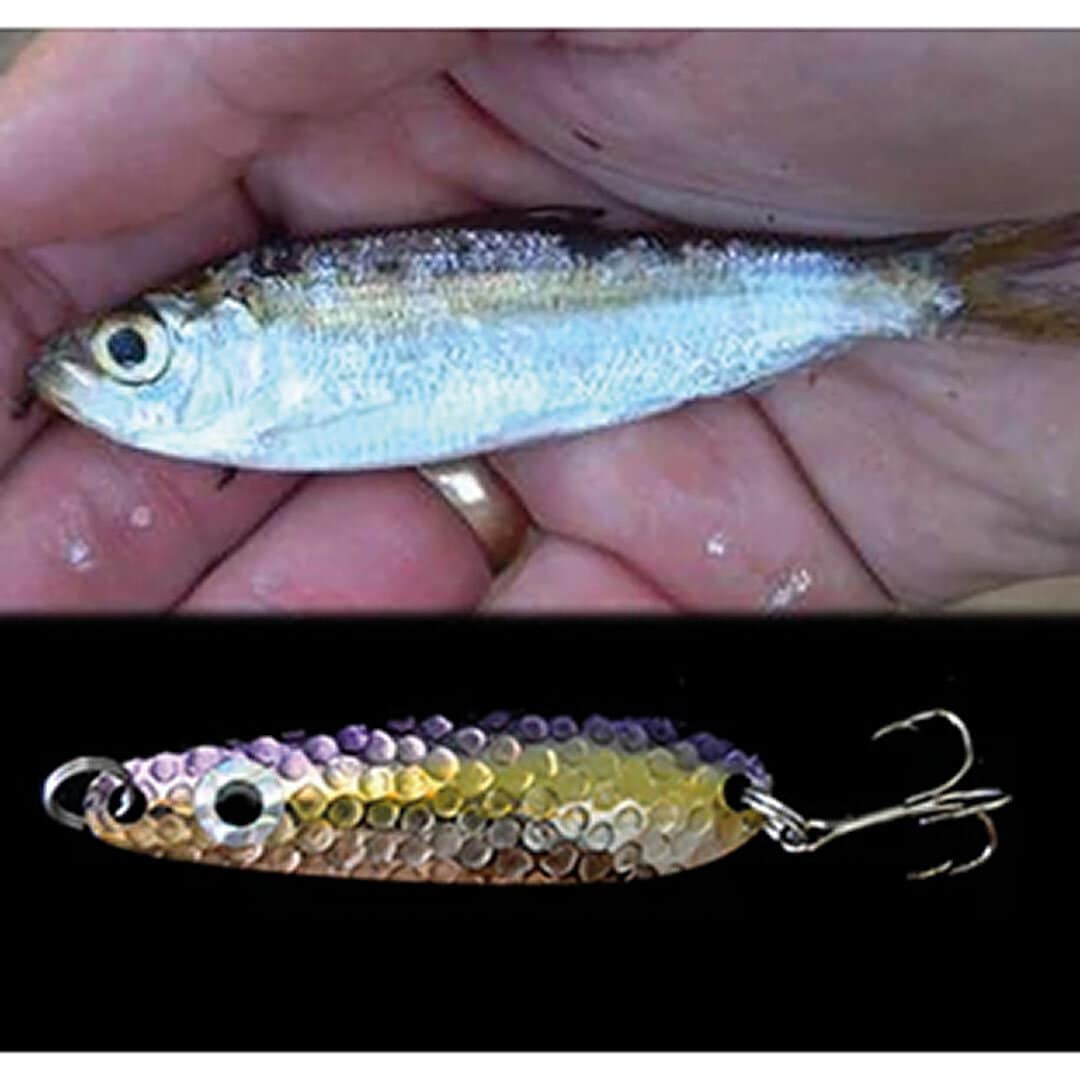 Northeast Troller #60 6,6cm 7g Juvenile Alewife