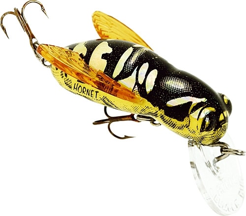 Rebel Bumble Bug Hornet