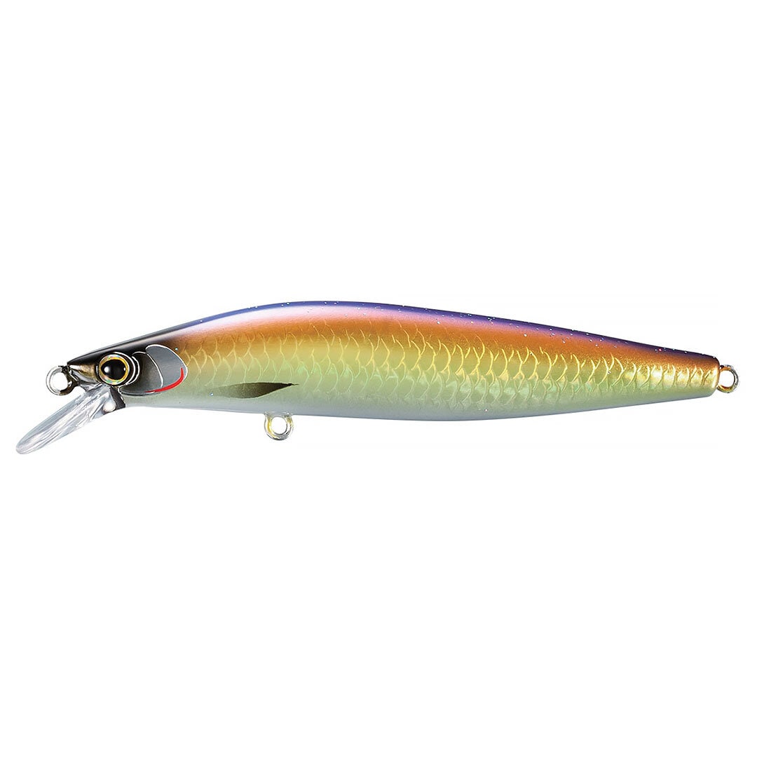 Lure Cardiff ML Bullet AR-C 93mm 10g.