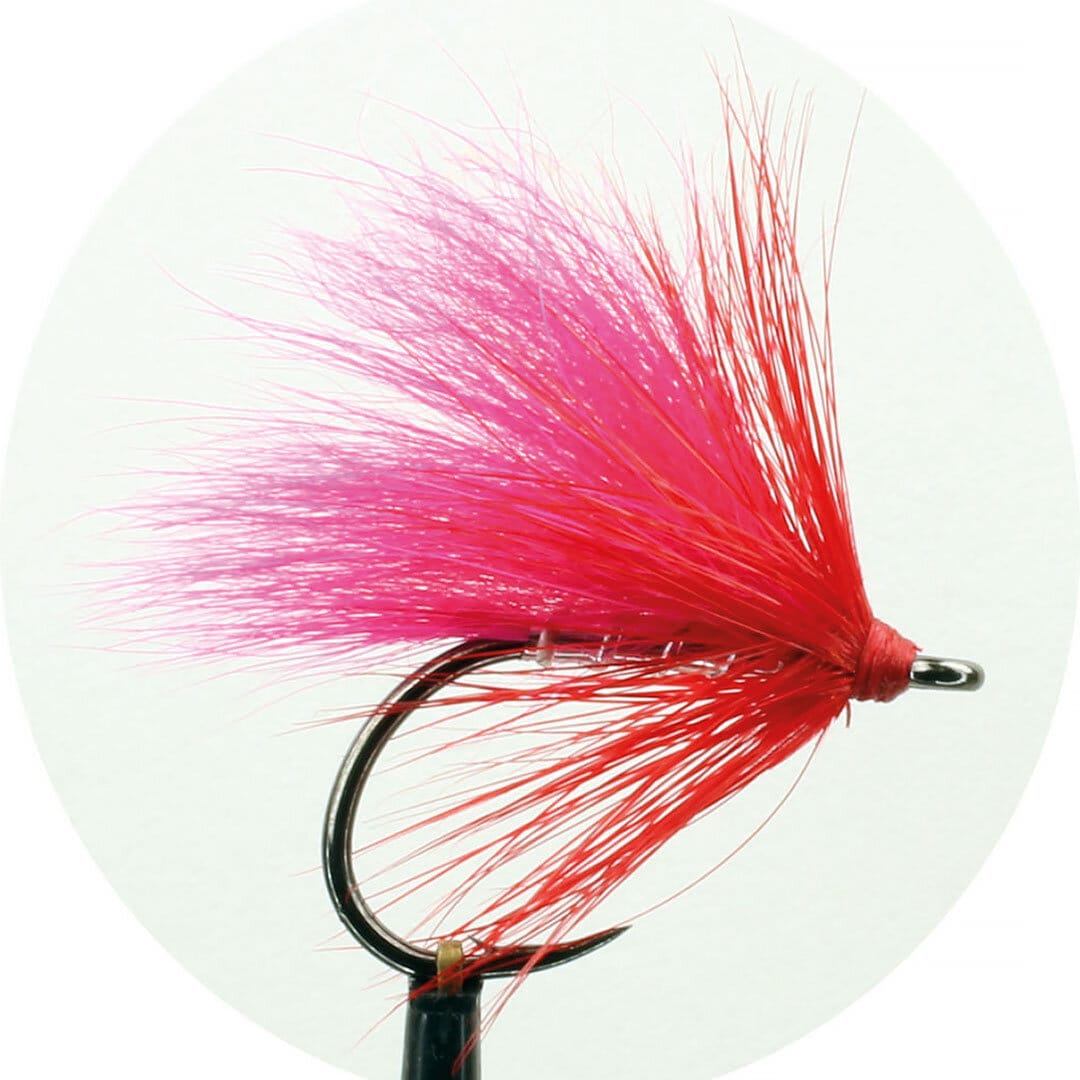 Salmon Single Laxett Strl 6 Rosa
