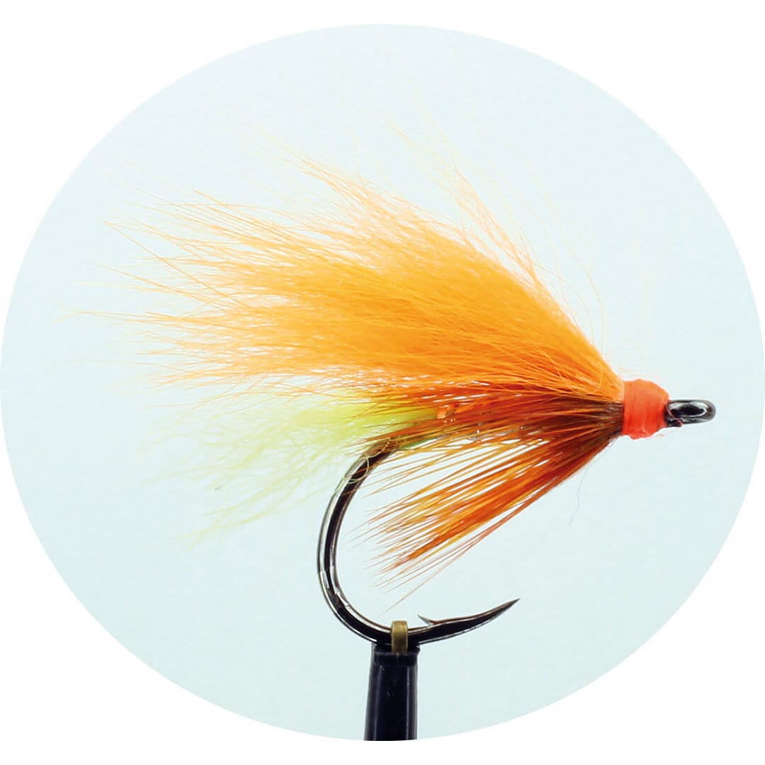 Salmon Single Laxett Strl 6 Orange