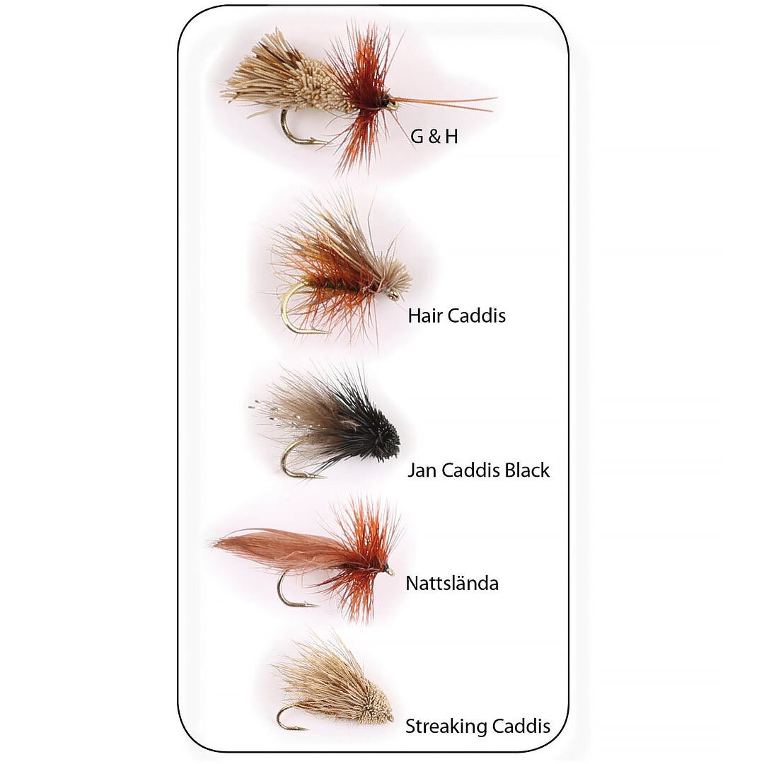 Flugkollektion Sedges 5p #12