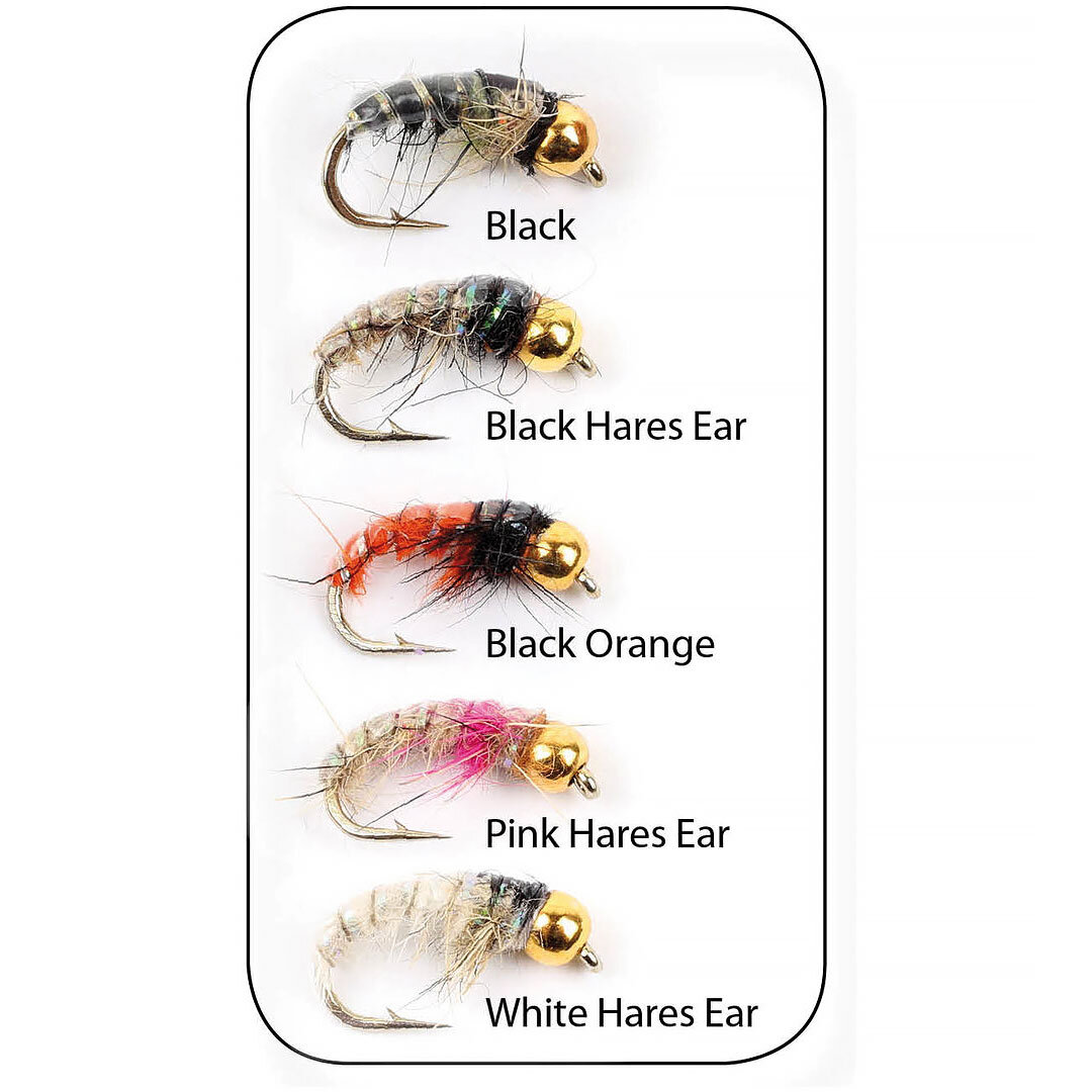 Flugkollektion Goldhead Czech Nymphs 5p #12