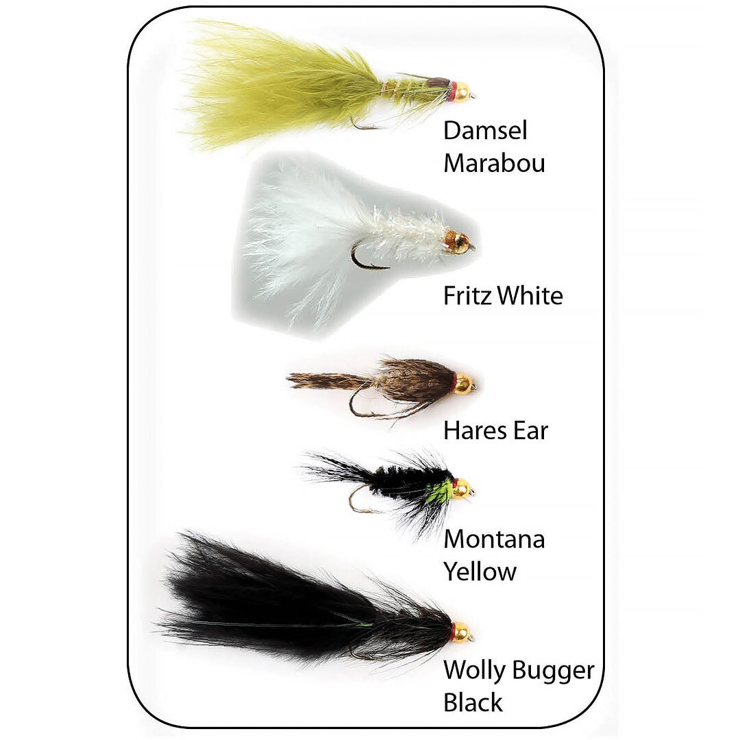 Flugkollektion Goldhead Stillwater 5p #10