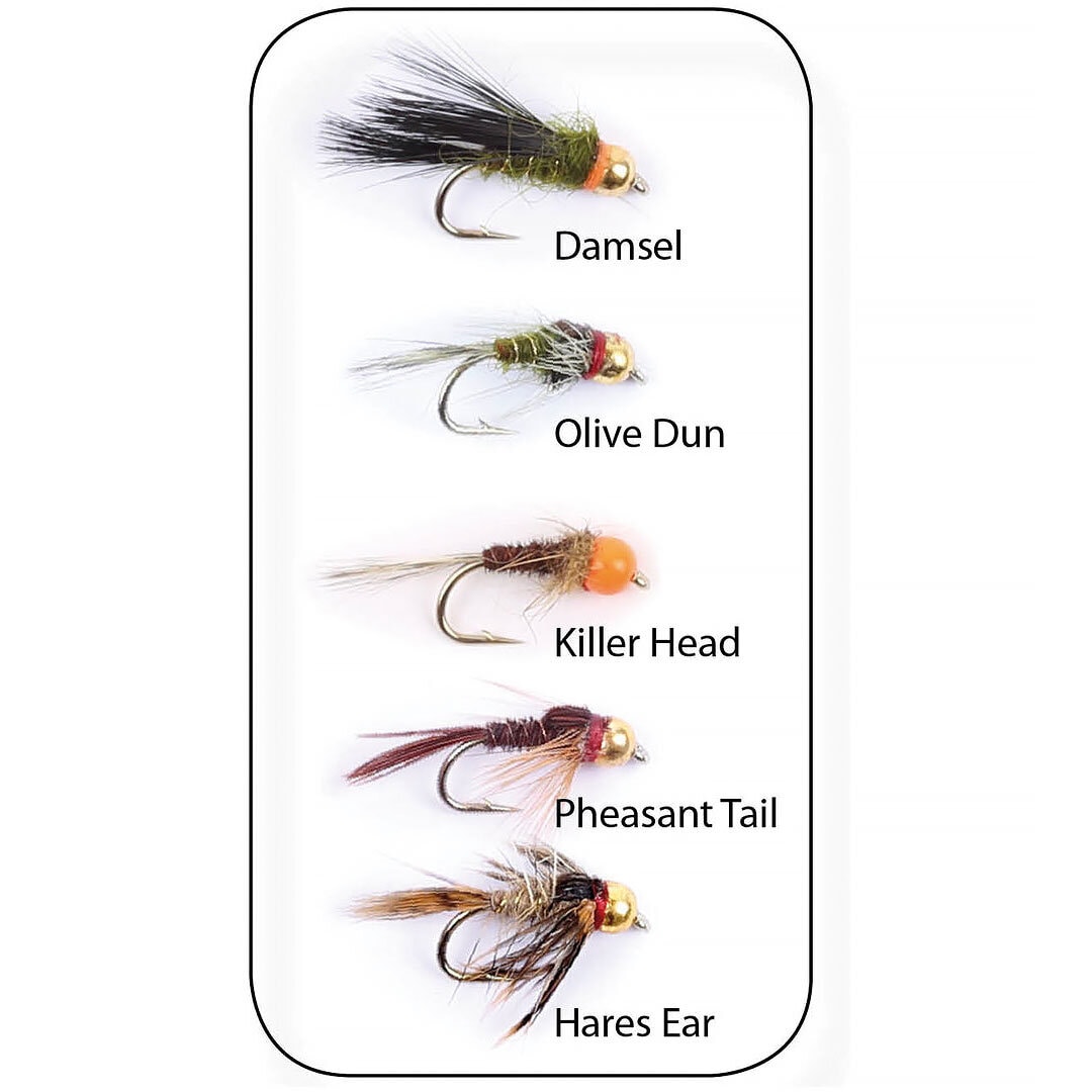 Flugkollektion Goldheads Short Shank 5p #12