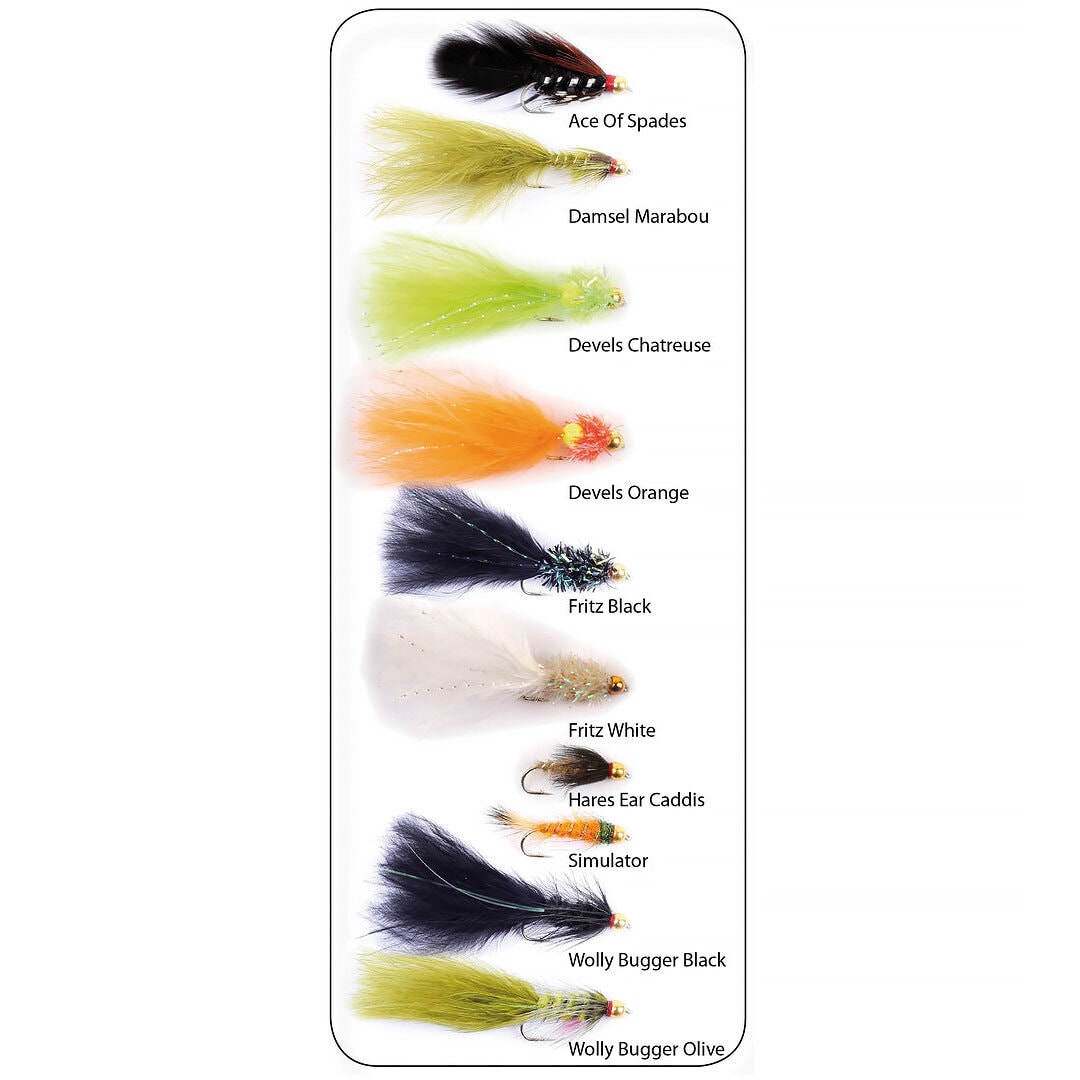 Flugkollektion Goldhead Lures 10p #10