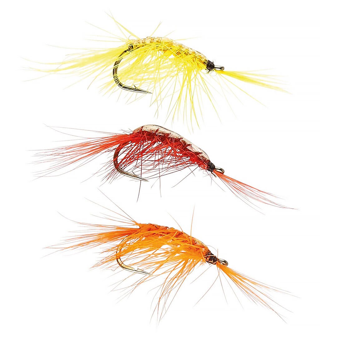 Ifish Gammarus på tafs.